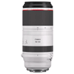 Canon RF 100-500MM F/4.5-7.1 L IS USM